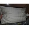 Image 1 : Lot of 2 weatherproof standard Queen size pillows