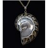 Image 1 : Natural Nautilus Shell Pendant Necklace