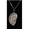 Image 3 : Natural Nautilus Shell Pendant Necklace