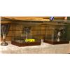 Image 2 : 3 shelves of rackets, trophies, hockey blades, etc.