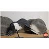 Image 2 : Field Geese Decoys (12) (Total Length each 32") (SEE PICS!)