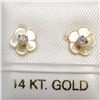 Image 1 : 14K YELLOW GOLD DIAMOND(0.1CT) EARRINGS