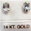 Image 1 : 10K YELLOW GOLD AQUAMARINE(0.94CT) EARRINGS