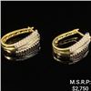 Image 1 : 3.9 DWT 10 KT Gold w/ Diamond Earrings