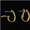 Image 2 : 1.8 DWT 10 KT Gold w/ Diamond Earrings