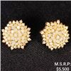 Image 1 : 4.5 DWT 14 KT Gold w/ Diamonds Earrings