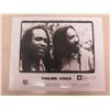 Image 2 : Qty 4 Promotions: Wailing Souls, Intercrew Park, Rainbow Warriors Handbook, etc