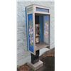Image 1 : Pay Phone in Floral Privacy Display