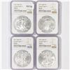 Image 1 : 2021 Set (4) American Silver Eagle NGC MS69 T-1