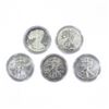 2011 25th Anniv 1oz Silver Eagle 5 Coin Set GEM