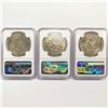 Image 2 : 1974 Set (3) Eisenhower Silver Dollars NGC MS65