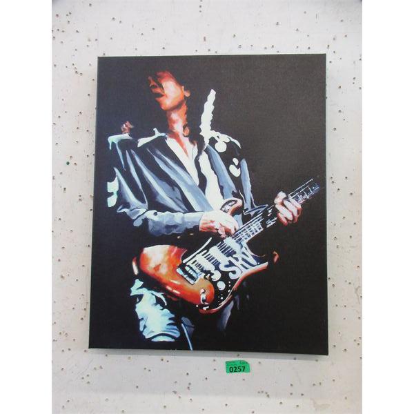 Canvas All Art of Guitarist - 19  x 24 