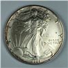 Image 1 : 1995 Standing Liberty UNC 1 oz