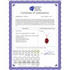 Image 2 : Genuine 3.5 ctw Ruby Necklace 14KT White Gold - REF-38M6T