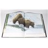 Image 2 : GRIZZLY BEARS : TEXT AND PHOTOGRAPHIC SELECTION BY