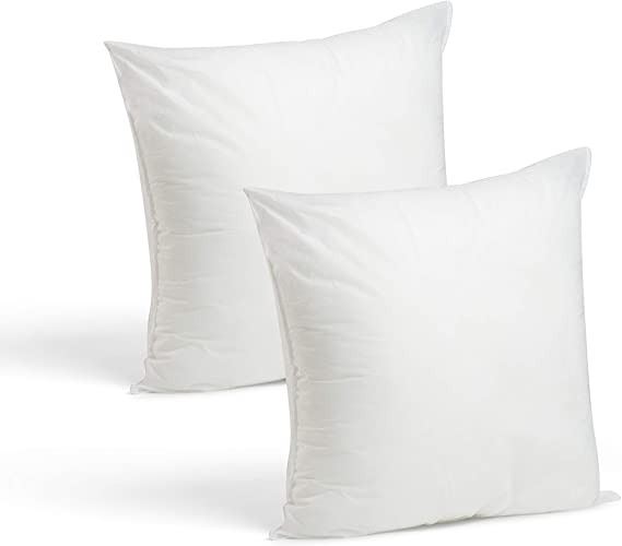 28 X 28 Pillow 28 X 28 Pillow
