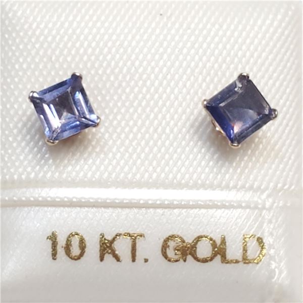 S202-48 10K IOLITE EARRINGS