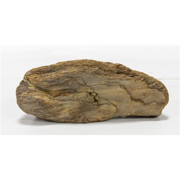 8 INCH PETRIFIED WOOD STONE