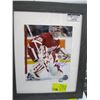 Image 1 : DOMINIK HASEK SIGNED DETROIT RED WINGS FRAMED PHOTO