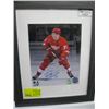 Image 1 : DANIEL LARKIN SIGNED DETROIT RED WINGS FRAMED PHOTO