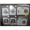 Image 1 : 13 - NHL EMBLEMS - STANLEY CUP (4), WINTER CLASSIC (5), HERITAGE CLASSIC (4)