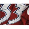 Image 3 : PATRICK ROY SIGNED COLORADO AVALANCHE JERSEY - SZ L