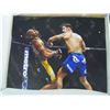 Image 2 : BOX OF UFC UNSIGNED PHOTOS