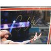 Image 2 : CONNOR MCGREGOR SIGNED UFC FRAMED PHOTO