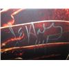 Image 3 : FRAMED JACKIE EARL HALEY, NIGHTMARE ON ELM STREET, SIGNED PHOTO