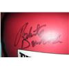 Image 3 : ROBERTO DURAN/JOSE TORRES SIGNED BOXING GLOVE