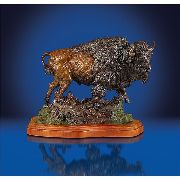 POWER OF THE PLAIINS