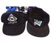 Image 3 : Assorted NHL items