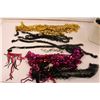 Image 10 : Assorted Costume Accessories