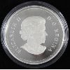 Image 2 : 2013 ARCTIC EXPLORATION PROOF SILVER DOLLAR COIN