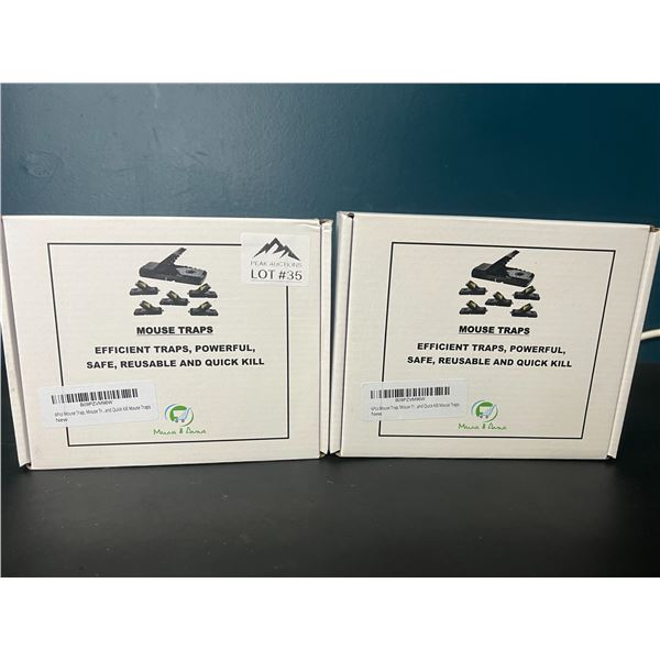 Lot of 2 Multi-Packs of Mouse Traps (6pcs per pack)