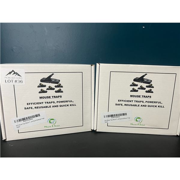 Lot of 2 Multi-Packs of Mouse Traps (6pcs per pack)