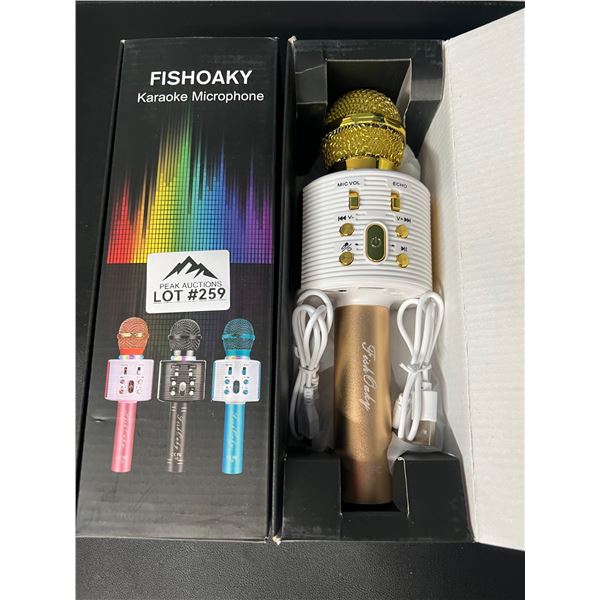 Lot of 2 Wireless Karaoke Microphones