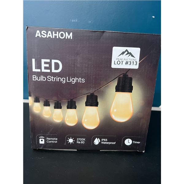 Lot of 1 LED Outdoor String Lights (Edison Style Bulbs) - 48Ft Length