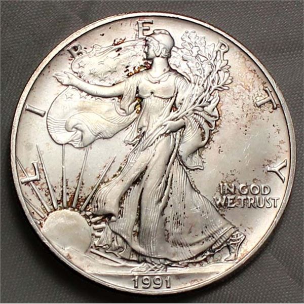 USA Eagle Dollar_1991