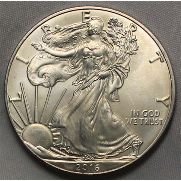USA Eagle Dollar 2016