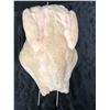 Image 2 : "Fargo" TV Series - Silicone prop life-size life-like whole turkey