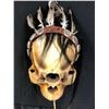 Image 2 : Custom made prop one eyed skull with light up base