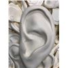 Image 2 : Box full of custom deigned assorted ears