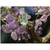 Image 3 : AMETHYST CRYSTAL TREE ON AMETHYST GEODE BASE APPROX 15" TALL- RETAIL $2494.98