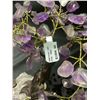Image 3 : AMETHYST CRYSTAL TREE ON AMETHYST GEODE BASE APPROX 11" TALL- RETAIL $1894.98