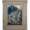 Image 1 : LARGE ANTIQUE MOUNTED PHOTO OF A COLLAPSED RAILROA