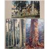 Image 1 : LOT OF 3 EARLY OREGON POSTCARDS - INCL. HUNTING, T