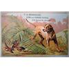 Image 1 : VICTORIAN TRADE CARD - MOREHOUSE GUNS AND FISHING 