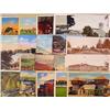 Image 1 : LOT OF 20 VINTAGE POSTCARDS - INCL. CAMP LEWIS, WA