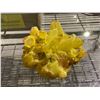 Image 2 : YELLOW GEODE APPROX 3X5-1/2X4-1/2"